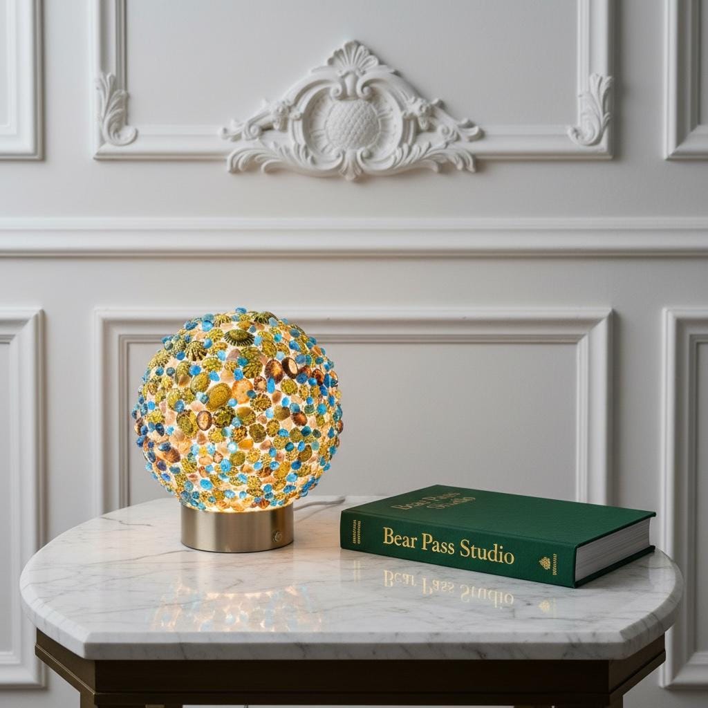 Seashell Limpet Shell Lamp