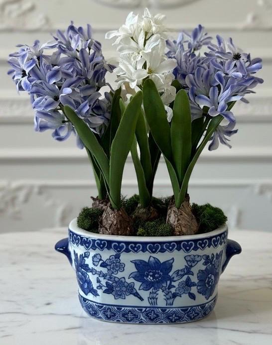 Hyacinth Bulbs in Chinoiserie Planter