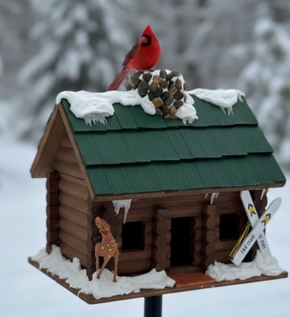 Handmade Winter Log Cabin Birdhouse