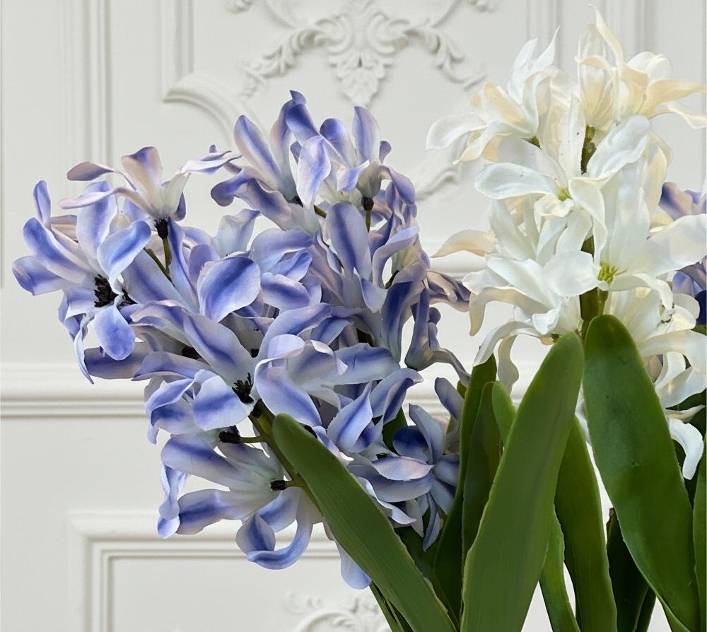 Hyacinth Bulbs in Chinoiserie Planter