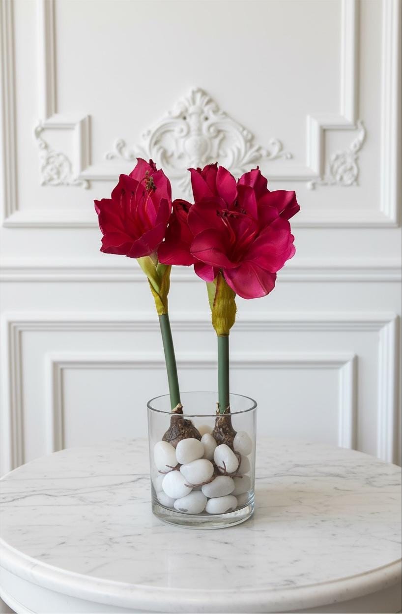 Amaryllis Bulb Arrangement with Stones