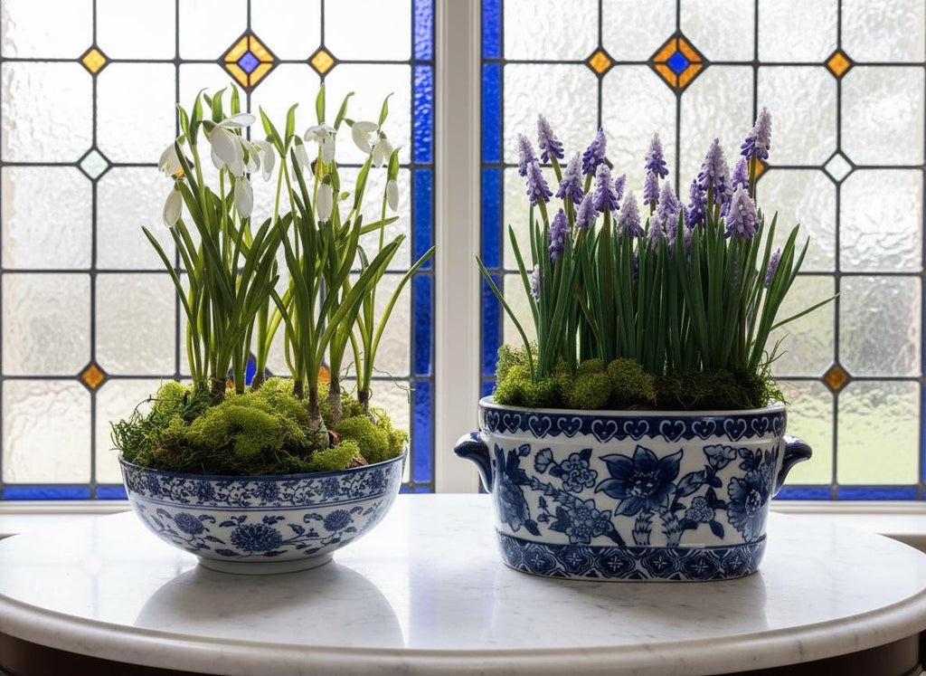 Purple Grape Hyacinths in Blue & White Planter