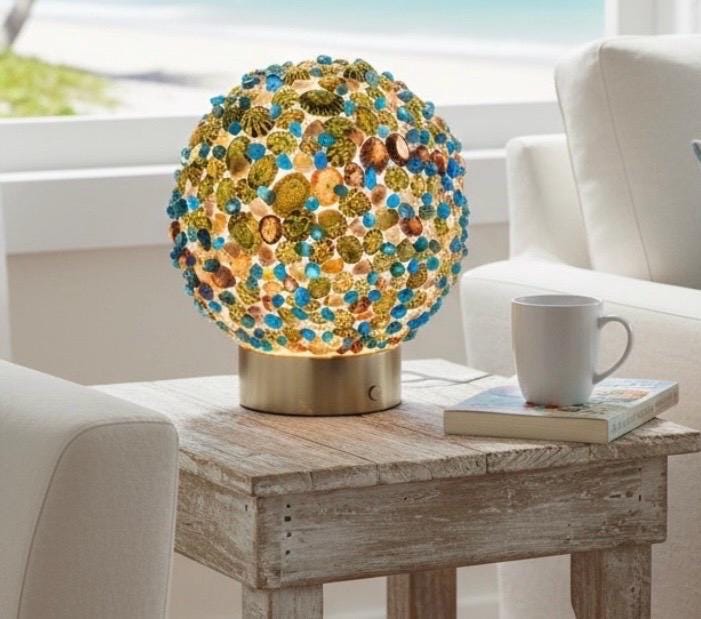 Seashell Limpet Shell Lamp