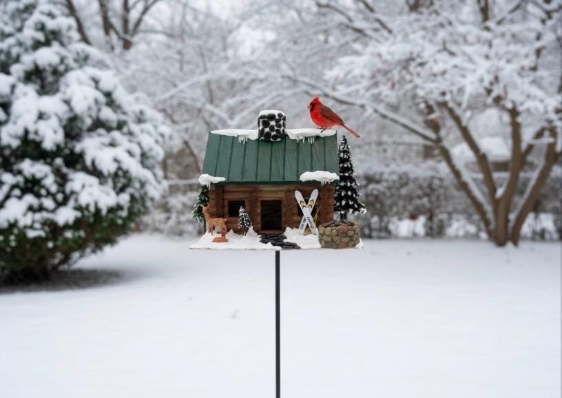 Handmade Log Cabin Birdhouse with Light, Skis & Snow