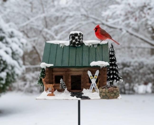 Handmade Log Cabin Birdhouse with Light, Skis & Snow