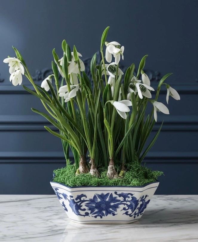 Faux Snowdrop Bulbs in Blue & White Chinoiserie Planter