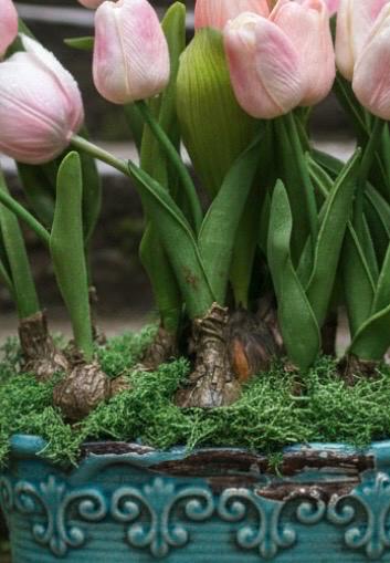 Real Touch Faux Tulip Bulbs in Vintage Style Planter