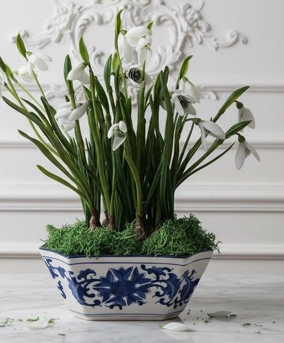 Faux Snowdrop Bulbs in Blue & White Chinoiserie Planter