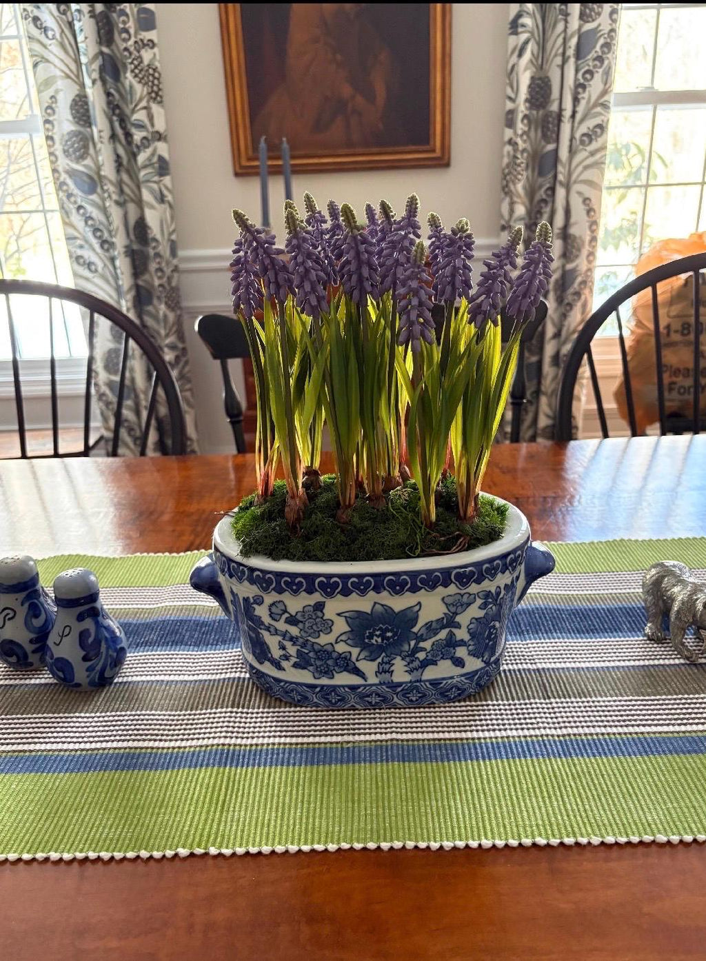 Purple Grape Hyacinths in Blue & White Planter