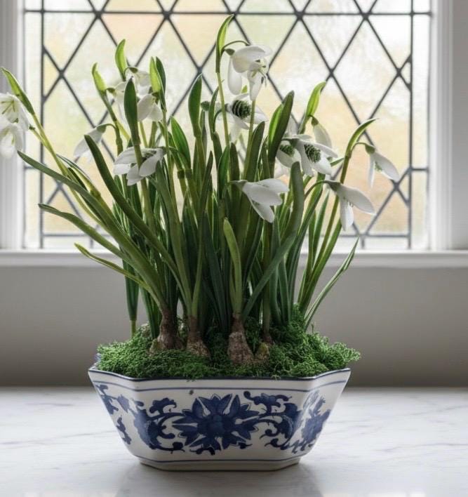 Faux Snowdrop Bulbs in Blue & White Chinoiserie Planter