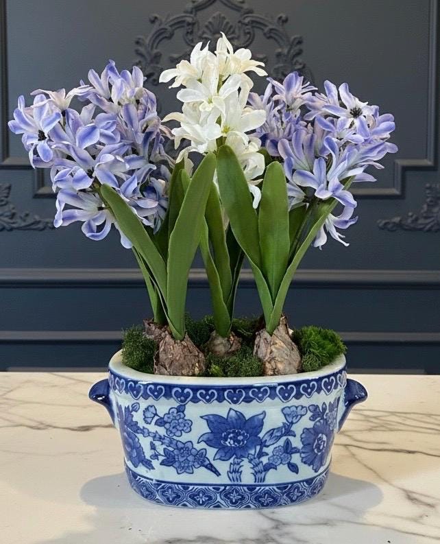 Hyacinth Bulbs in Chinoiserie Planter