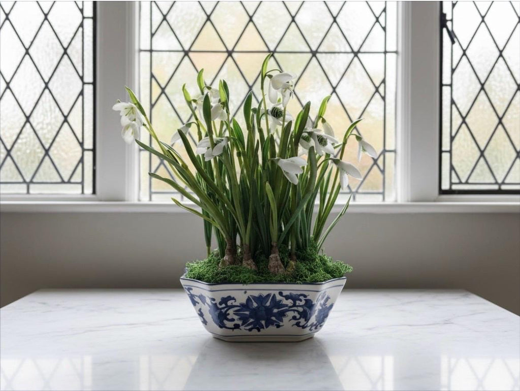 Faux Snowdrop Bulbs in Blue & White Chinoiserie Planter