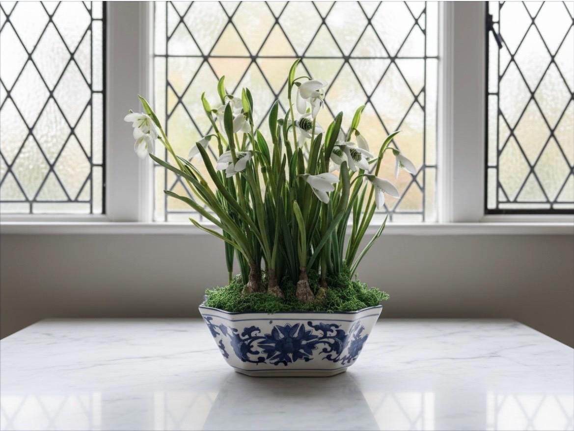 Faux Snowdrop Bulbs in Blue & White Chinoiserie Planter