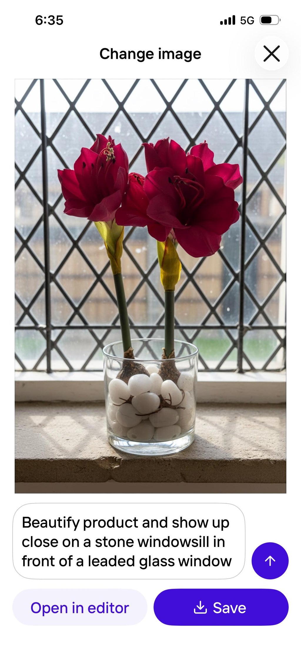 Amaryllis Bulb Arrangement with Stones