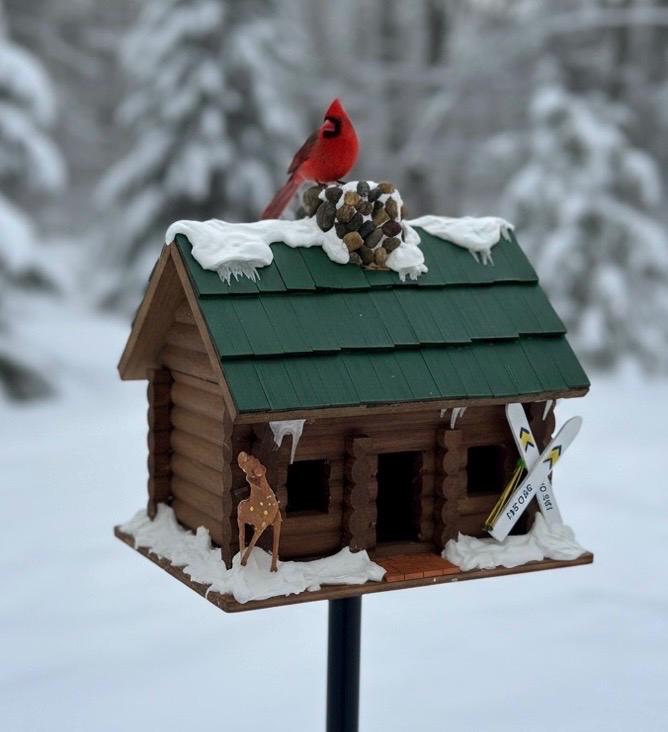 Handmade Winter Log Cabin Birdhouse