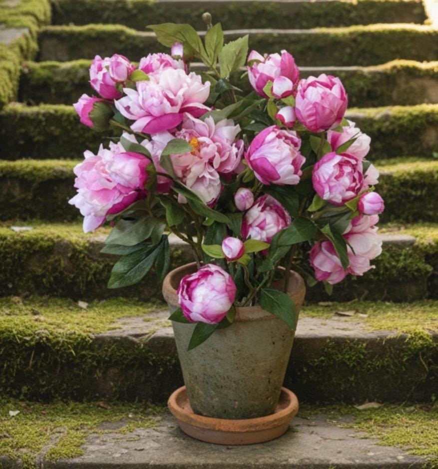 Artificial Peony Plant
