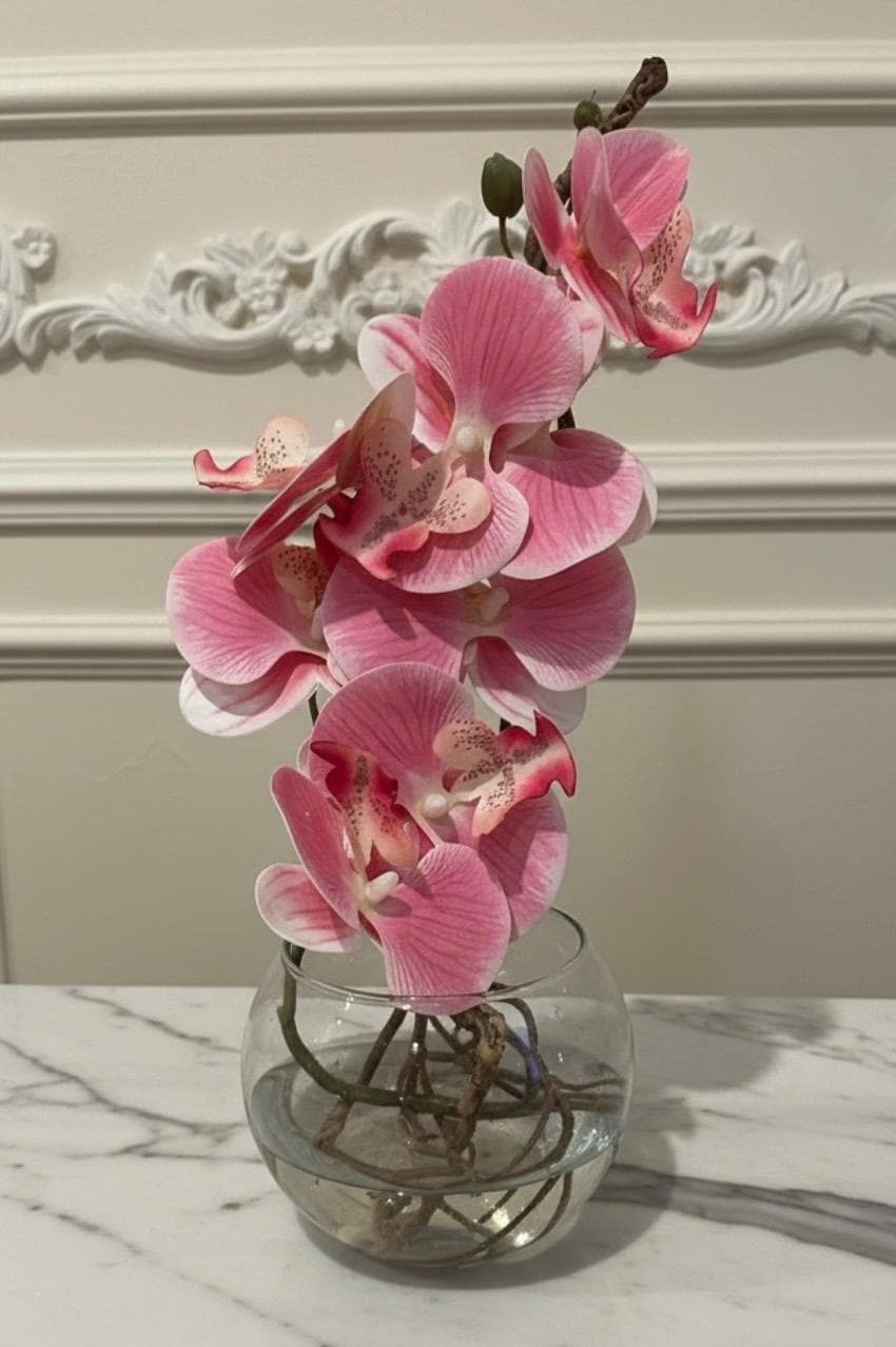 Real touch pink orchid in glass vase with roots and water illusion